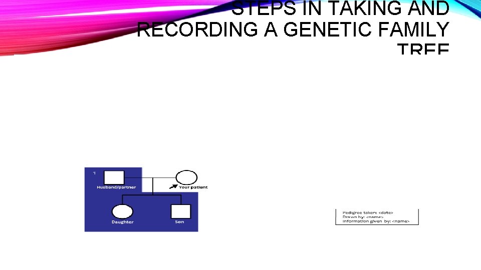 STEPS IN TAKING AND RECORDING A GENETIC FAMILY TREE 