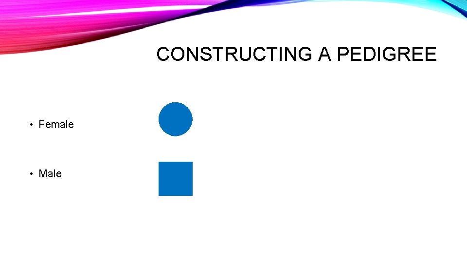 CONSTRUCTING A PEDIGREE • Female • Male 