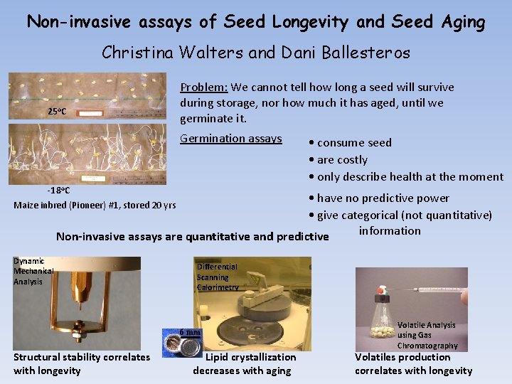 Non-invasive assays of Seed Longevity and Seed Aging Christina Walters and Dani Ballesteros 25