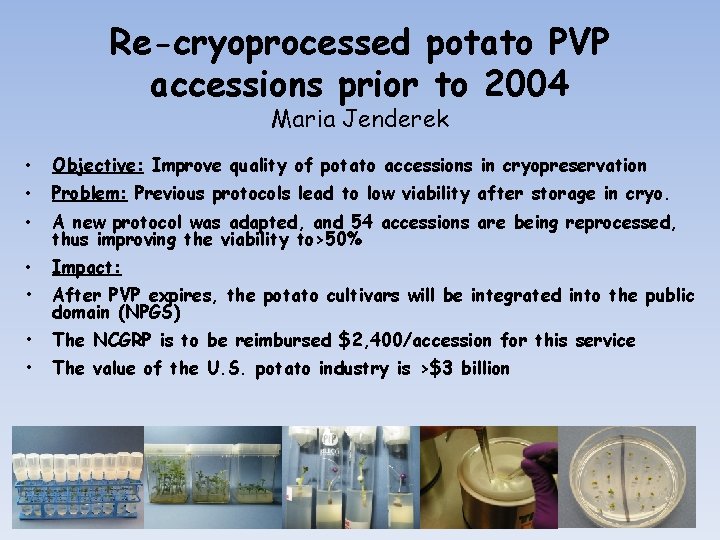 Re-cryoprocessed potato PVP accessions prior to 2004 Maria Jenderek • Objective: Improve quality of