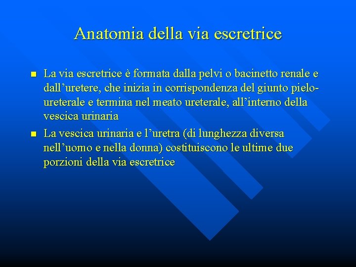 Anatomia della via escretrice n n La via escretrice è formata dalla pelvi o