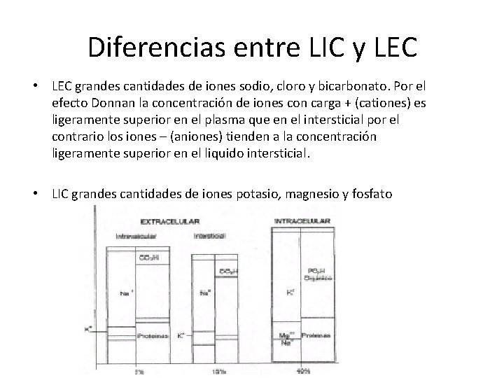 Diferencias entre LIC y LEC • LEC grandes cantidades de iones sodio, cloro y