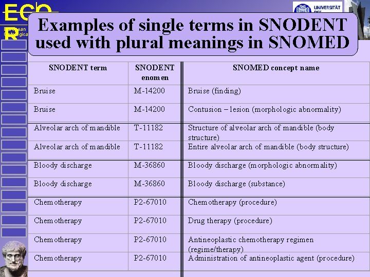 ECO Examples of single terms in SNODENT R used with plural meanings in SNOMED