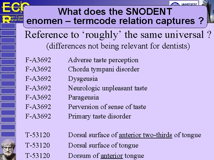 ECO What does the SNODENT R enomen – termcode relation captures ? European Centre