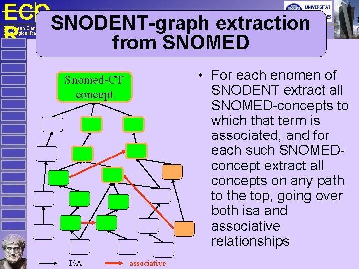 ECOSNODENT-graph extraction R from SNOMED European Centre for Ontological Research • For each enomen