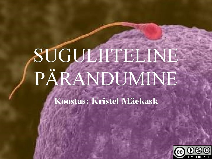 SUGULIITELINE PÄRANDUMINE Koostas: Kristel Mäekask SUGULIITELINE PÄRANDUMINE Koostas: Kristel Mäekask