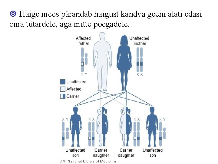 Haige mees pärandab haigust kandva geeni alati edasi oma tütardele, aga mitte poegadele. Haige mees pärandab haigust kandva geeni alati edasi oma tütardele, aga mitte poegadele.