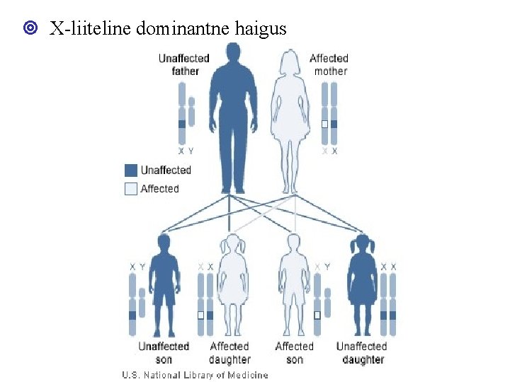 X-liiteline dominantne haigus X-liiteline dominantne haigus