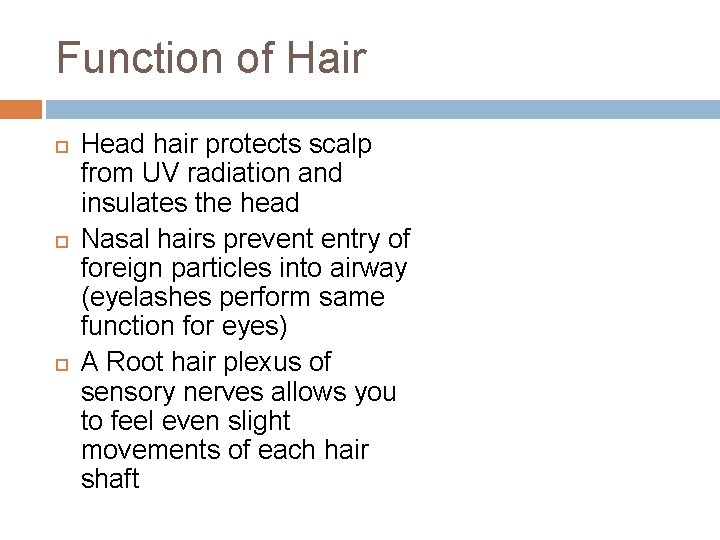Function of Hair Head hair protects scalp from UV radiation and insulates the head