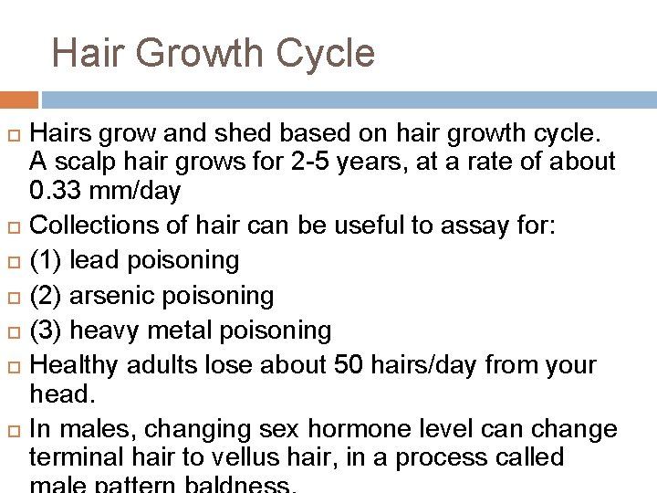 Hair Growth Cycle Hairs grow and shed based on hair growth cycle. A scalp