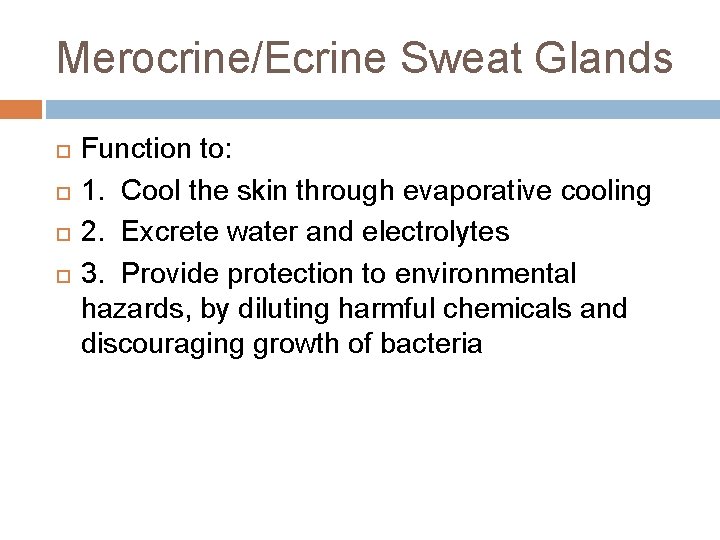 Merocrine/Ecrine Sweat Glands Function to: 1. Cool the skin through evaporative cooling 2. Excrete