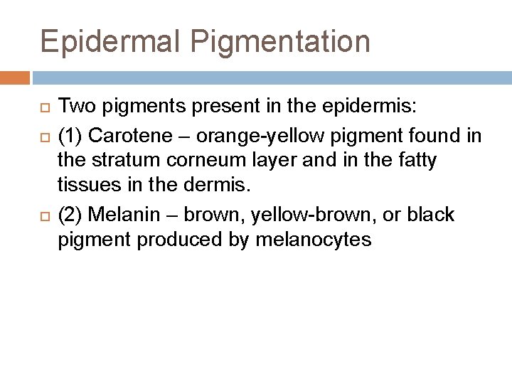 Epidermal Pigmentation Two pigments present in the epidermis: (1) Carotene – orange-yellow pigment found