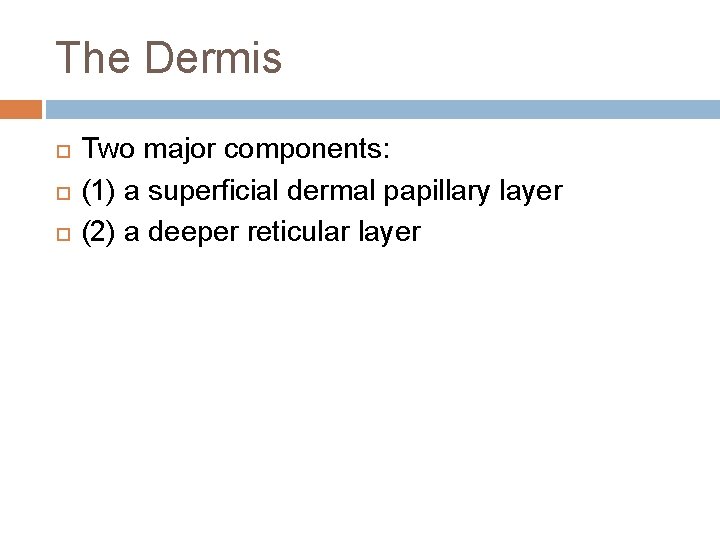 The Dermis Two major components: (1) a superficial dermal papillary layer (2) a deeper