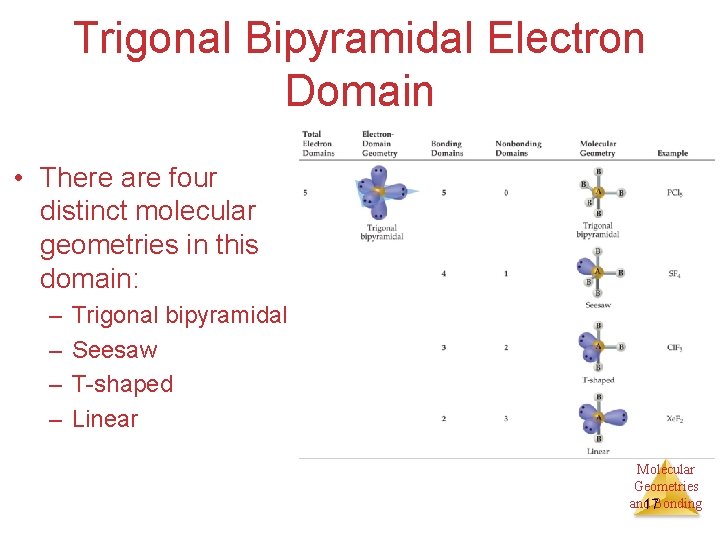 Trigonal Bipyramidal Electron Domain • There are four distinct molecular geometries in this domain: