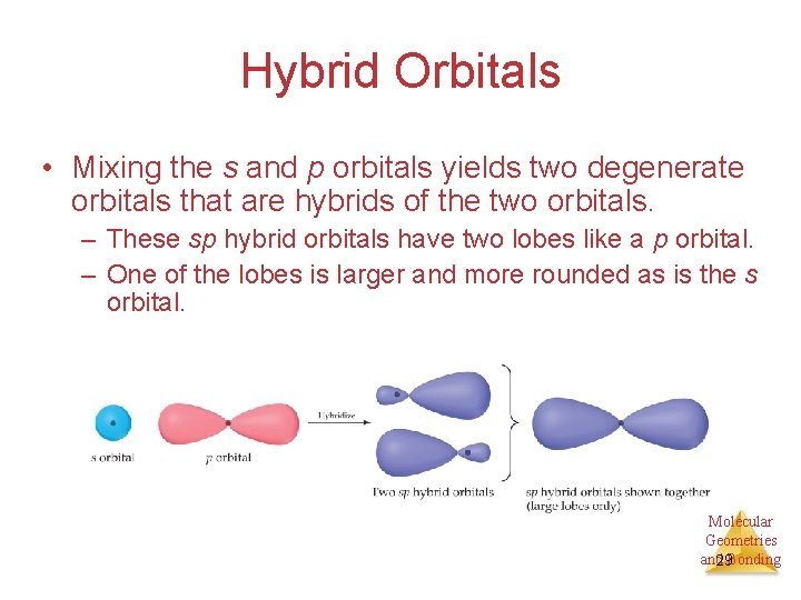 Hybrid Orbitals • Mixing the s and p orbitals yields two degenerate orbitals that