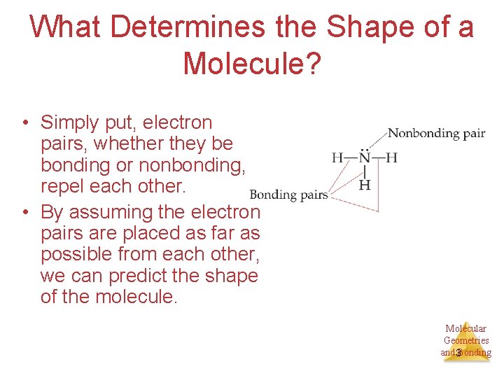 What Determines the Shape of a Molecule? • Simply put, electron pairs, whether they