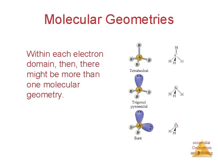 Molecular Geometries Within each electron domain, there might be more than one molecular geometry.