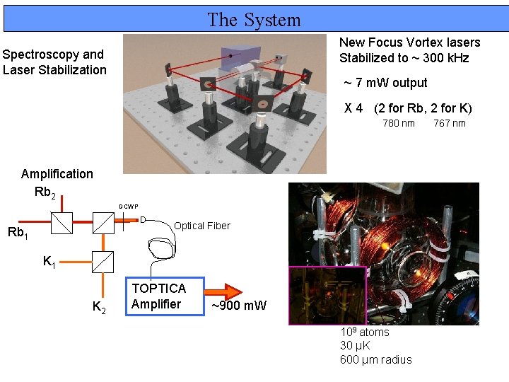 The System New Focus Vortex lasers Stabilized to ~ 300 k. Hz Spectroscopy and