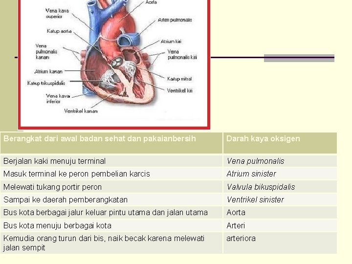 Berangkat dari awal badan sehat dan pakaianbersih Darah kaya oksigen Berjalan kaki menuju terminal