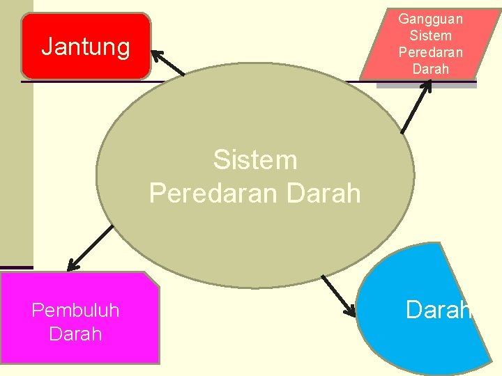 Gangguan Sistem Peredaran Darah Jantung Sistem Peredaran Darah Pembuluh Darah 