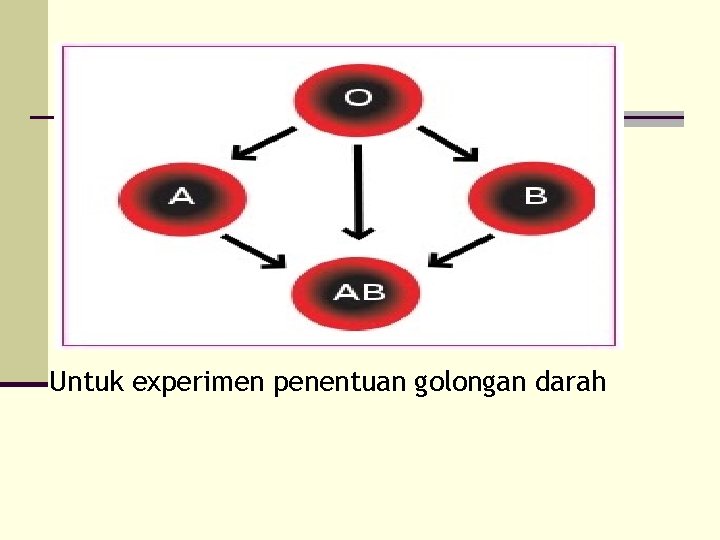 Untuk experimen penentuan golongan darah 