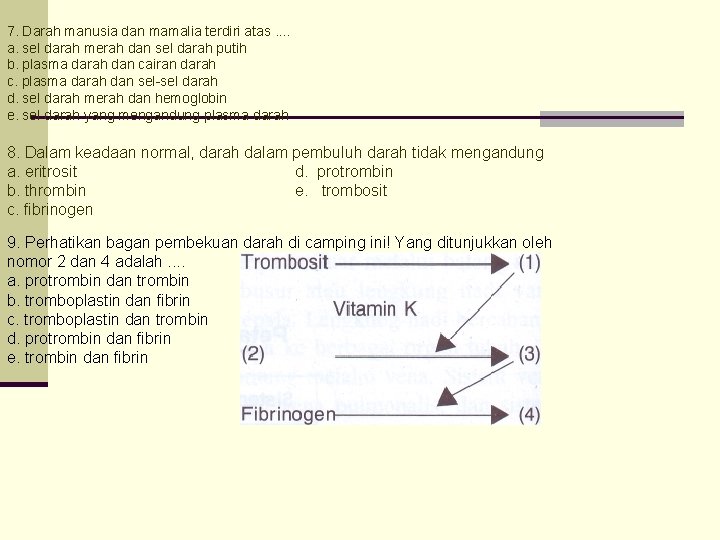 7. Darah manusia dan mamalia terdiri atas. . a. sel darah merah dan sel