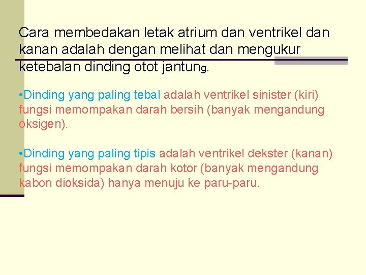 Cara membedakan letak atrium dan ventrikel dan kanan adalah dengan melihat dan mengukur ketebalan