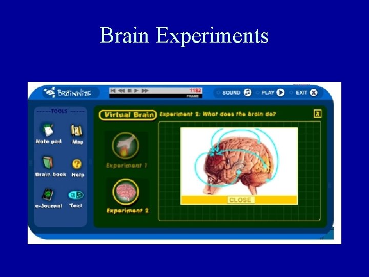 Brain Experiments Brain Experiments