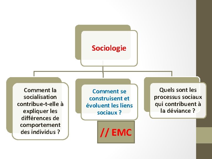 Sociologie Comment la socialisation contribue-t-elle à expliquer les différences de comportement des individus ?
