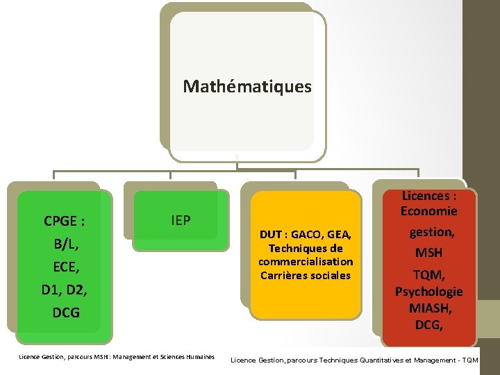 Mathématiques CPGE : B/L, ECE, D 1, D 2, DCG IEP Licence Gestion, parcours