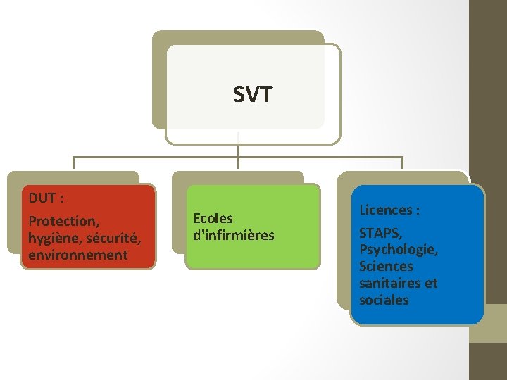 SVT DUT : Protection, hygiène, sécurité, environnement Ecoles d'infirmières Licences : STAPS, Psychologie, Sciences