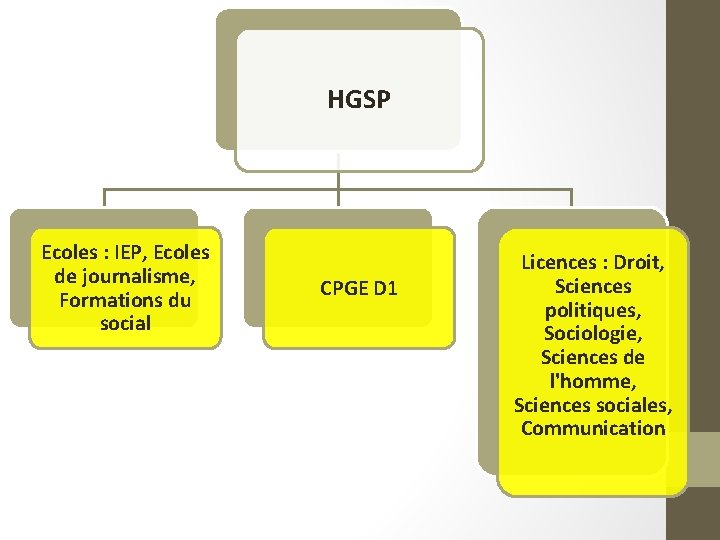 HGSP Ecoles : IEP, Ecoles de journalisme, Formations du social CPGE D 1 Licences