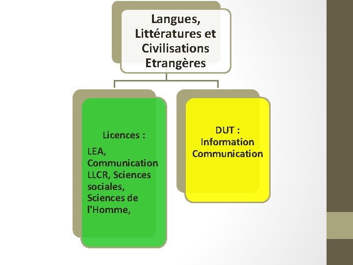 Langues, Littératures et Civilisations Etrangères Licences : LEA, Communication LLCR, Sciences sociales, Sciences de