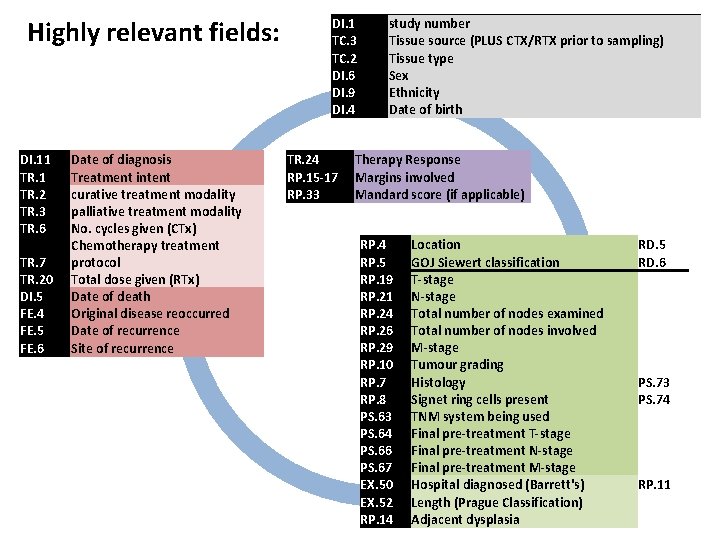 Highly relevant fields: DI. 11 TR. 2 TR. 3 TR. 6 TR. 7 TR.