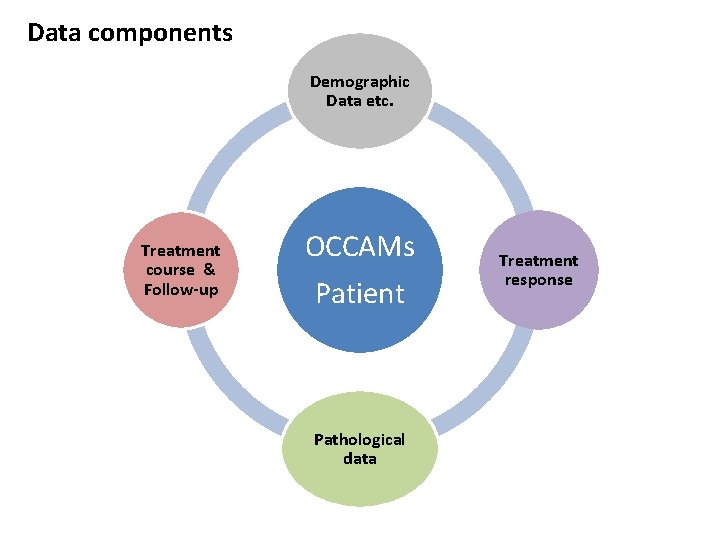 Data components Demographic Data etc. Treatment course & Follow-up OCCAMs Patient Pathological data Treatment