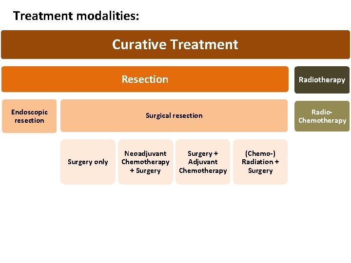 Treatment modalities: Curative Treatment Resection Endoscopic resection Radiotherapy Radio. Chemotherapy Surgical resection Surgery only