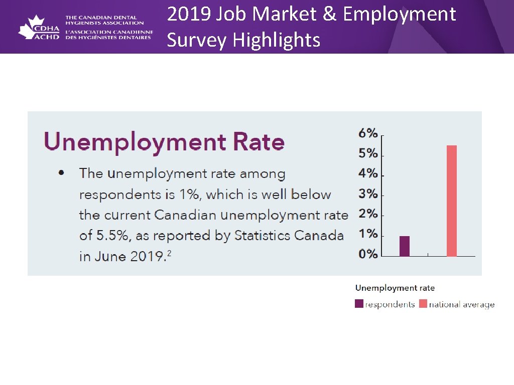 2019 Job Market & Employment Survey Highlights 