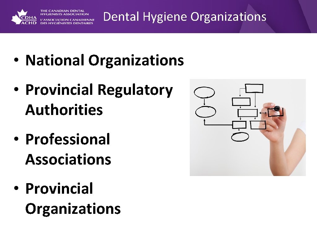 Dental Hygiene Organizations • National Organizations • Provincial Regulatory Authorities • Professional Associations •