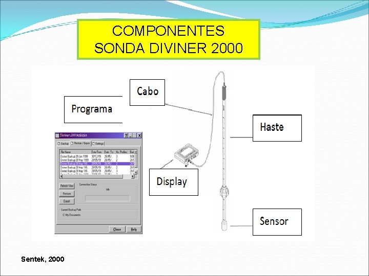 COMPONENTES SONDA DIVINER 2000 Sentek, 2000 