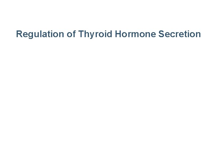 Regulation of Thyroid Hormone Secretion 