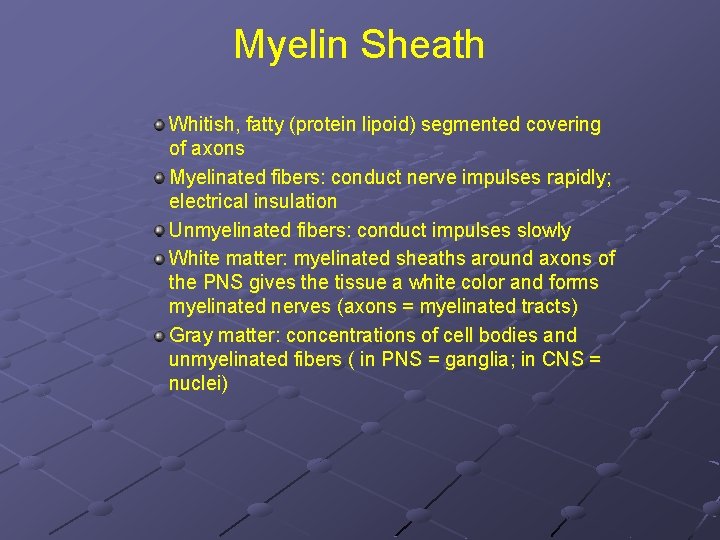 Myelin Sheath Whitish, fatty (protein lipoid) segmented covering of axons Myelinated fibers: conduct nerve