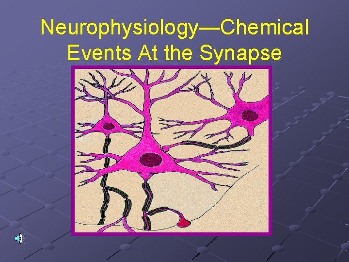 Neurophysiology—Chemical Events At the Synapse 