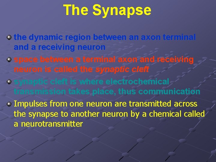 The Synapse the dynamic region between an axon terminal and a receiving neuron space