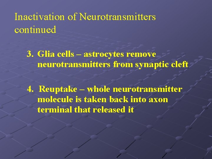 Inactivation of Neurotransmitters continued 3. Glia cells – astrocytes remove neurotransmitters from synaptic cleft