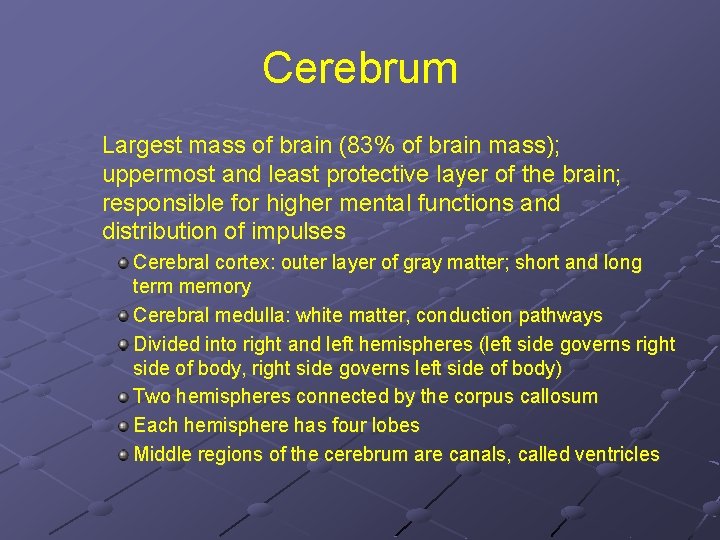 Cerebrum Largest mass of brain (83% of brain mass); uppermost and least protective layer