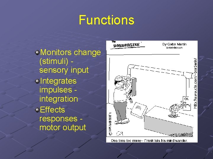 Functions Monitors change (stimuli) sensory input Integrates impulses integration Effects responses motor output 