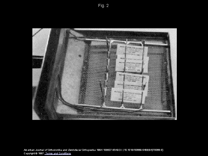 Fig. 2 American Journal of Orthodontics and Dentofacial Orthopedics 1994 106627 -634 DOI: (10. Fig. 2 American Journal of Orthodontics and Dentofacial Orthopedics 1994 106627 -634 DOI: (10.