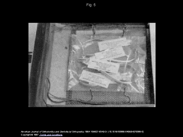 Fig. 5 American Journal of Orthodontics and Dentofacial Orthopedics 1994 106627 -634 DOI: (10. Fig. 5 American Journal of Orthodontics and Dentofacial Orthopedics 1994 106627 -634 DOI: (10.