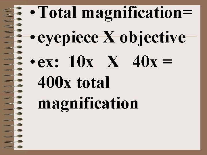  • Total magnification= • eyepiece X objective • ex: 10 x X 40