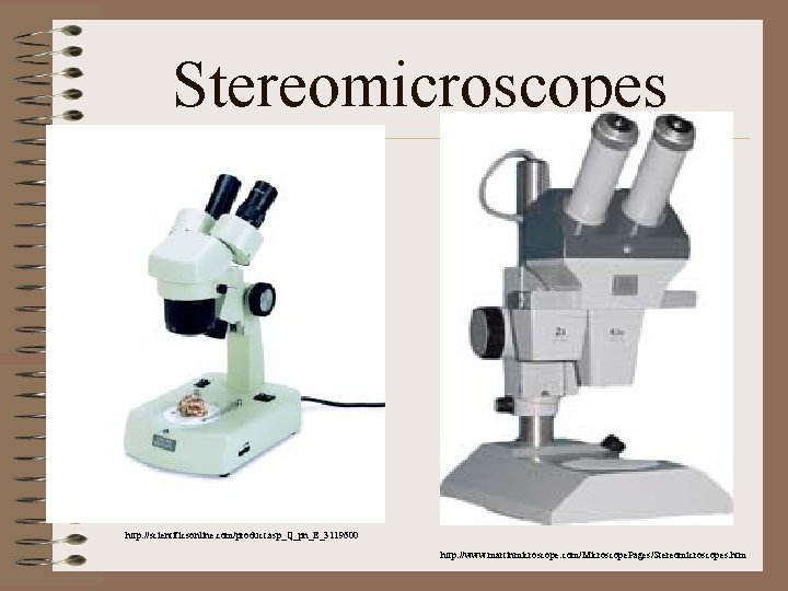 Stereomicroscopes http: //scientificsonline. com/product. asp_Q_pn_E_3119600 http: //www. martinmicroscope. com/Microscope. Pages/Stereomicroscopes. htm 